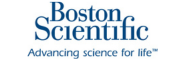 Boston logo